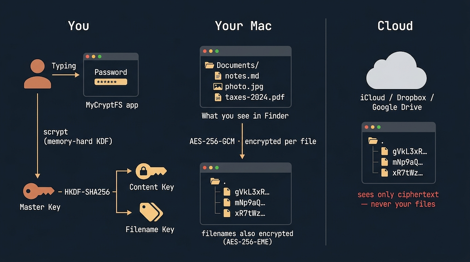 How gocryptfs works: a password unlocks the FUSE-mounted encrypted directory; gocryptfs transparently encrypts each file with AES-256-GCM before it reaches cloud storage, so you see normal files while the cloud only stores ciphertext.
