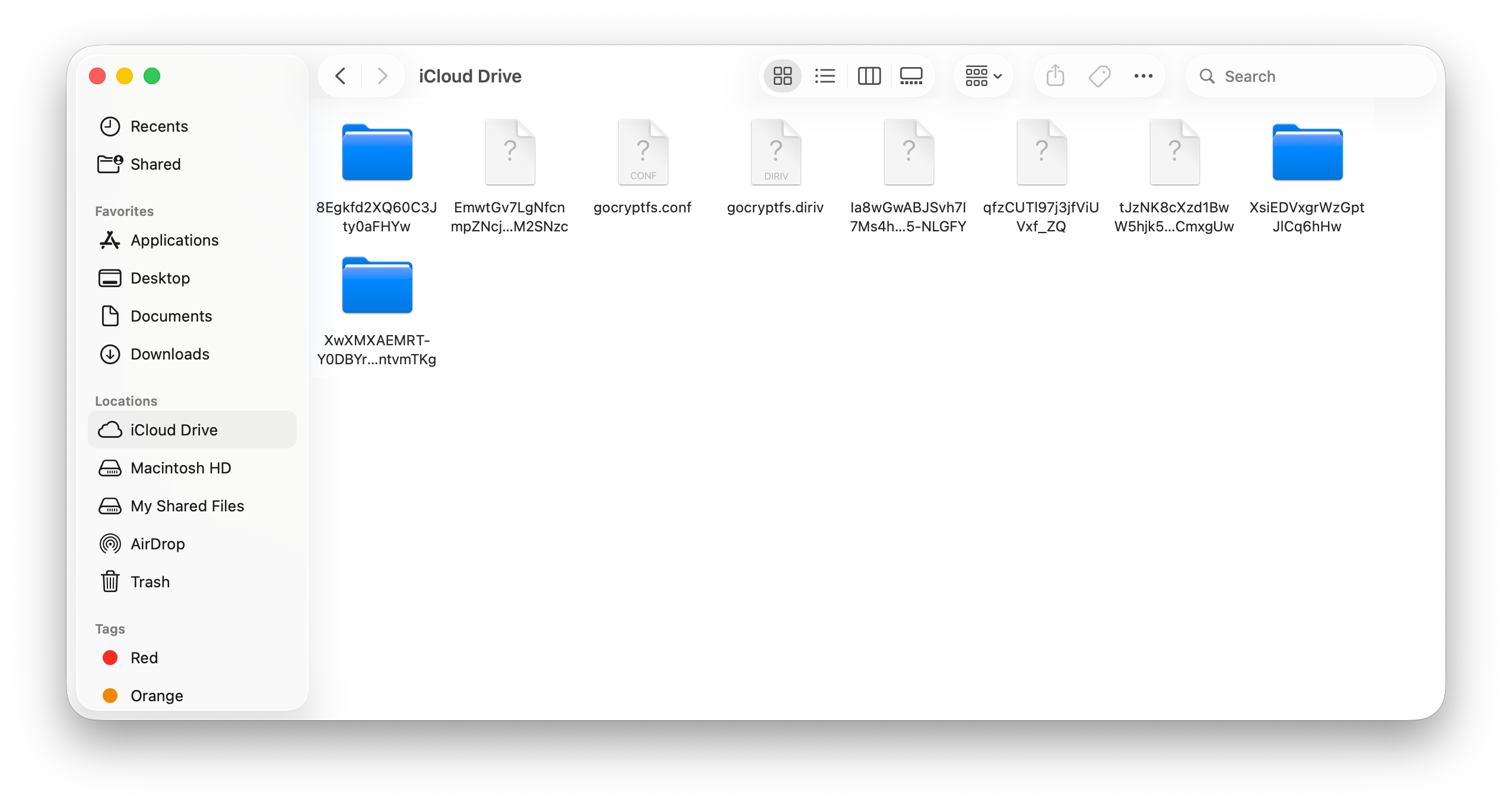 Encrypted iCloud folder — opaque ciphertext visible to cloud provider