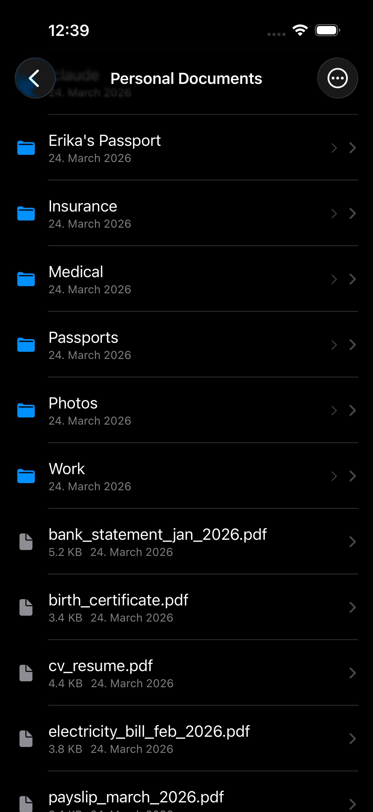 MyCryptFS for iOS — decrypted vault, filenames visible